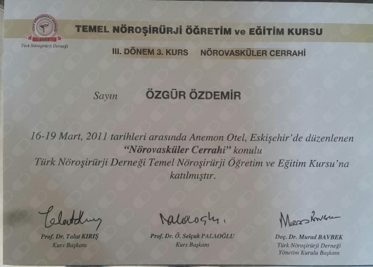 Uluslararası Eğitim Sertifikası